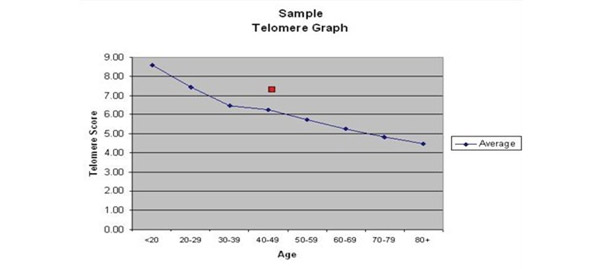 Graph showing relationship between Telomere Score and Age
